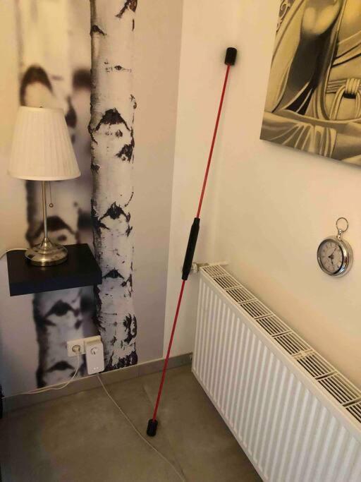 Willkommen Im Casa Felice, Der Wohlfuehl Oase Mit Balkon, 4 Betten Und Homeoffice Platz Aidlingen Экстерьер фото