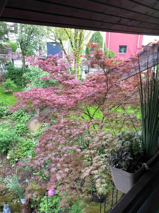 Willkommen Im Casa Felice, Der Wohlfuehl Oase Mit Balkon, 4 Betten Und Homeoffice Platz Aidlingen Экстерьер фото